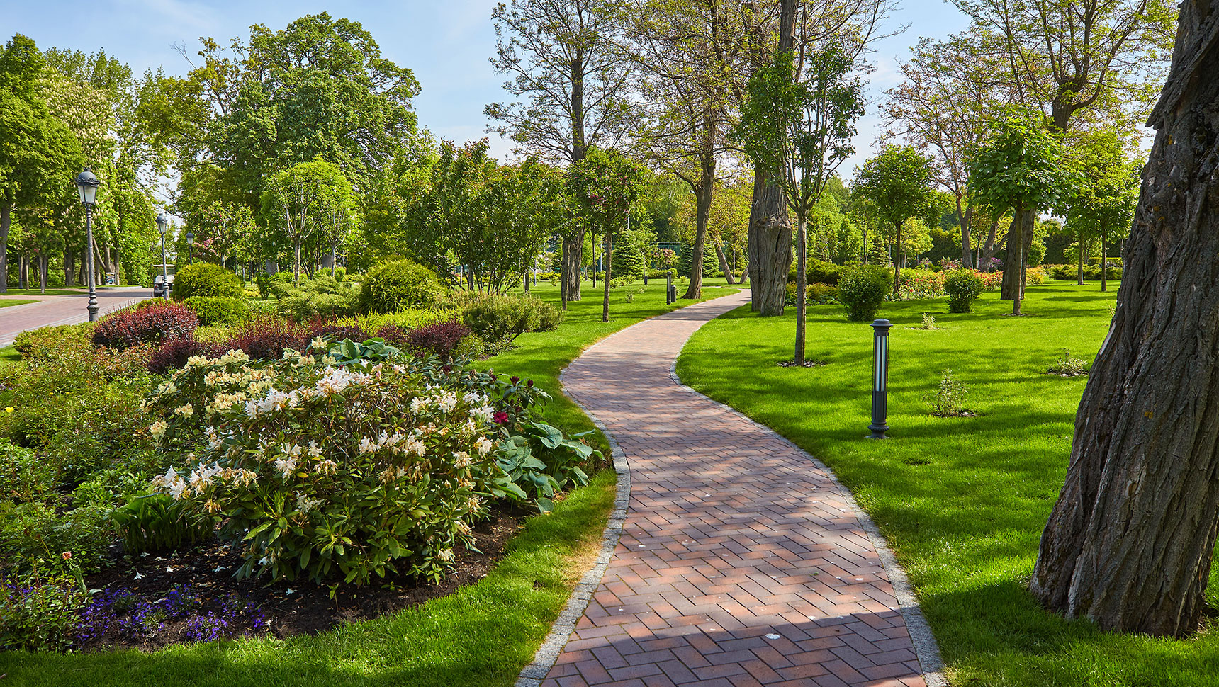 Park pathway with grass and plantings