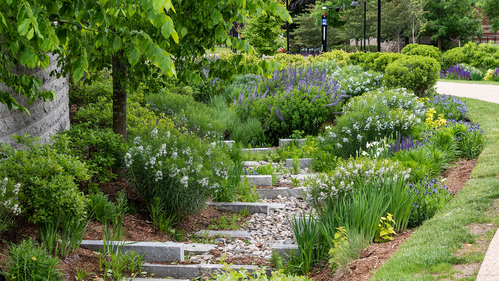 Stormwater infrastructure image