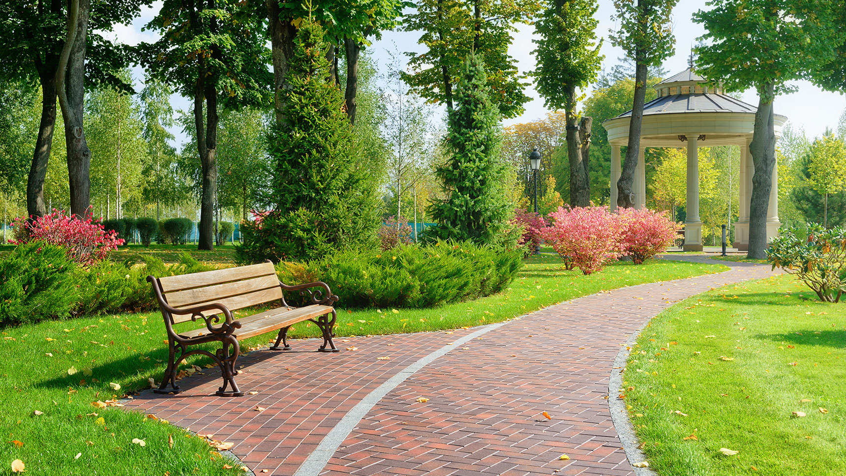 Park bench on a brick walkway with grass and trees and bushes