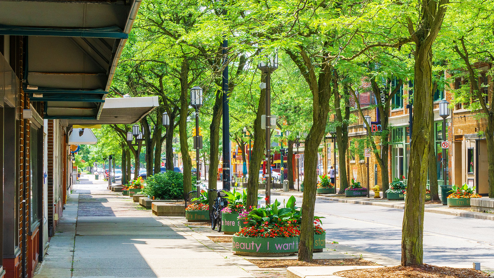 View of that streetscape with roadway, sidewalk, and plantings