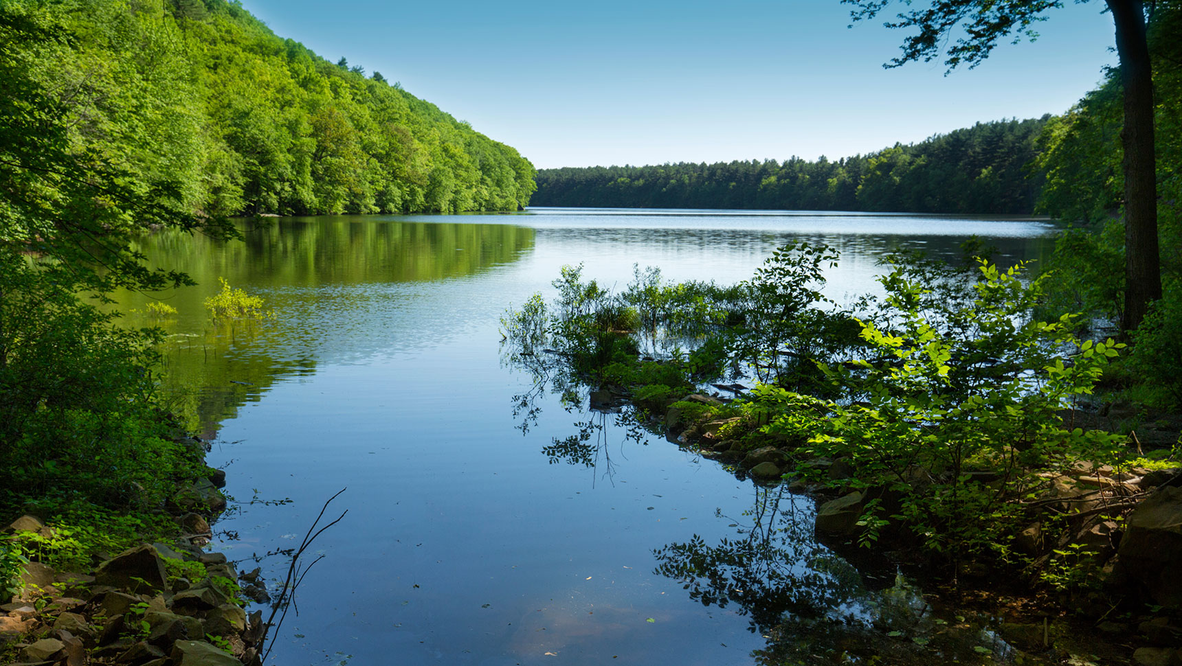 view of a lake with trees nearby