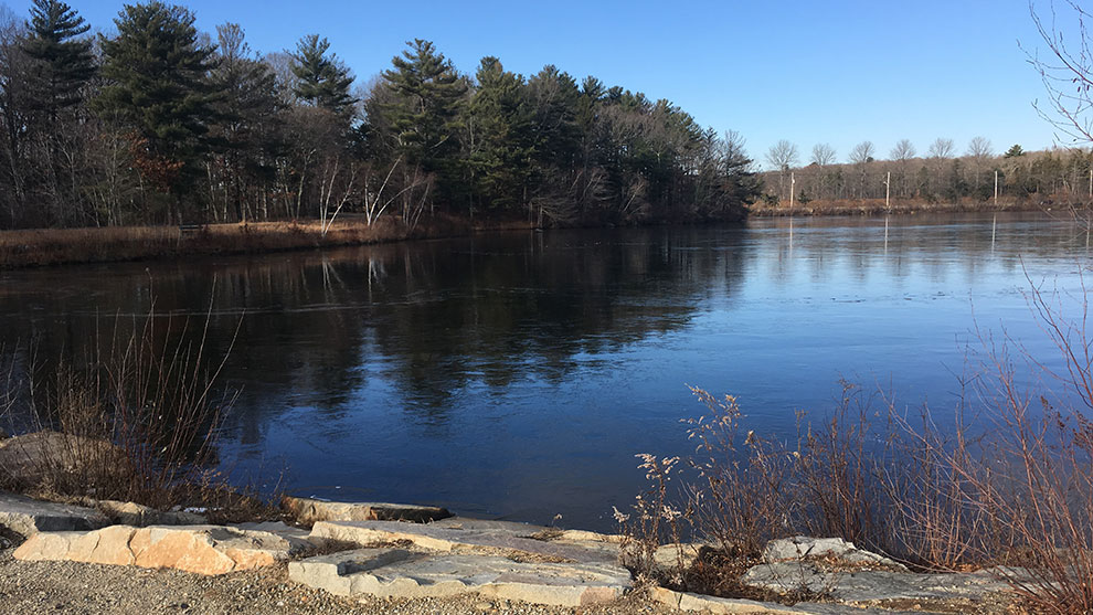 View of the pond and a beach