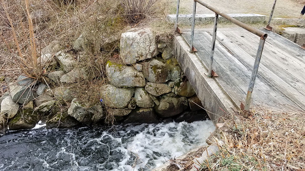 Brook running under a bridge