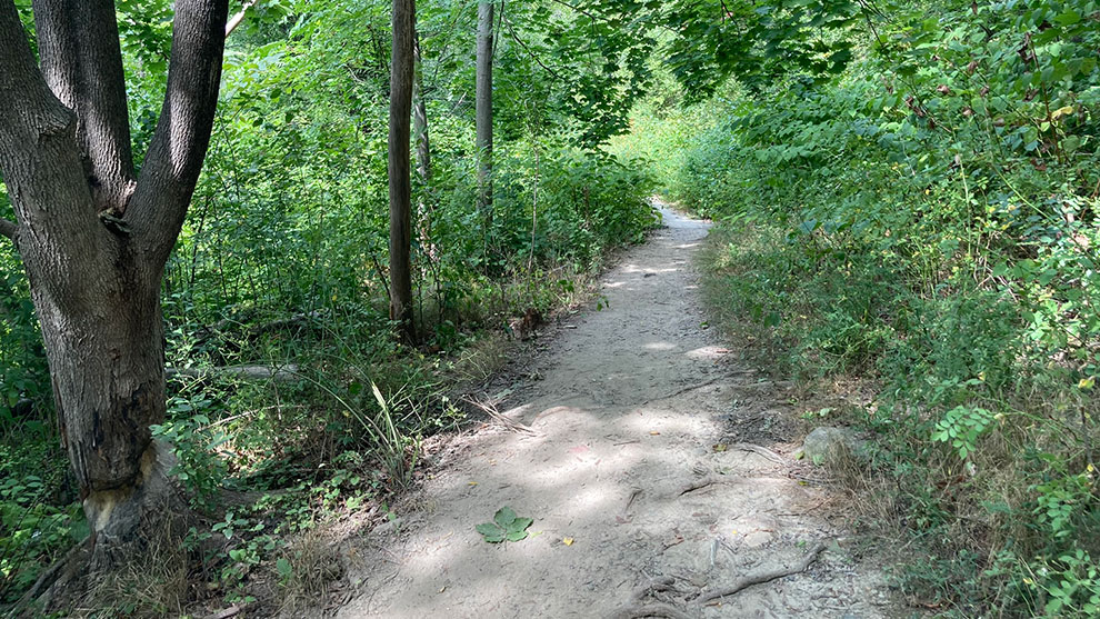 Dover Trail before image