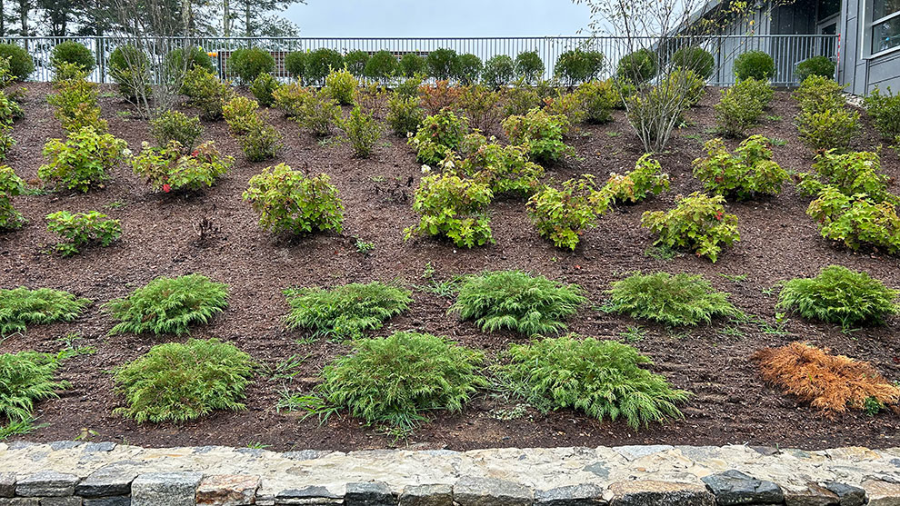 school landscaping