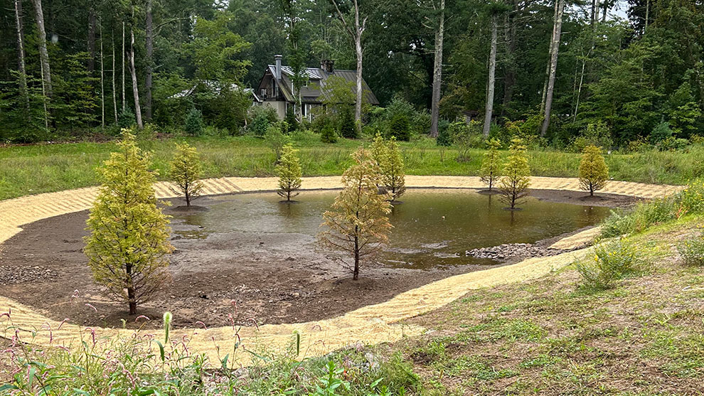 Mansfield elementary school plantings