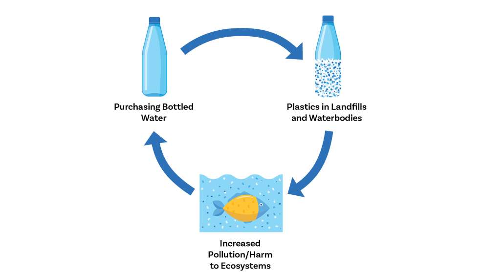 Graphic showing how plastic bottles affect landfills and ecosystems