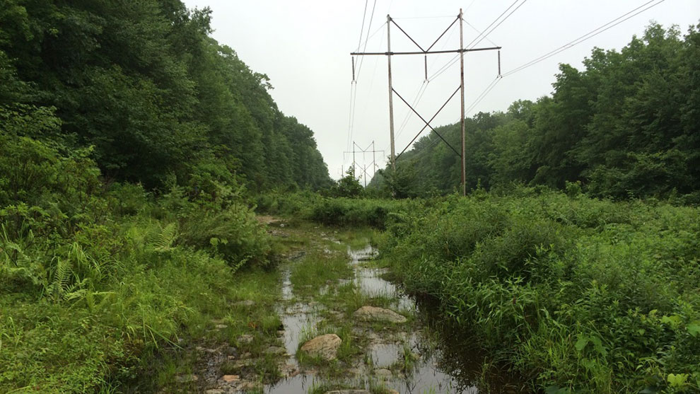 Utility lines on a hill