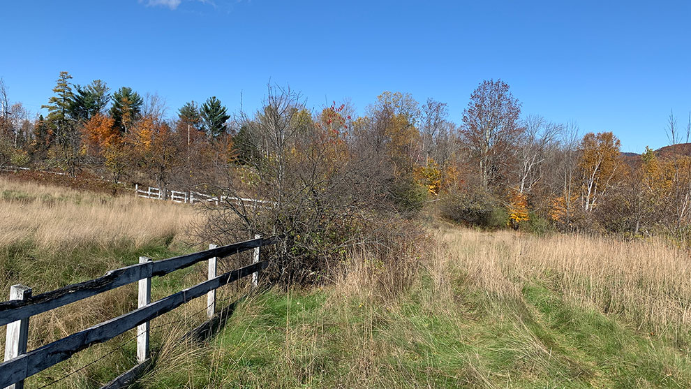 A field with a fence and trees