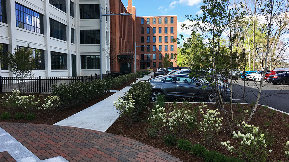 Exterior view of the completed Montgomery mill building with trees cars and parking lot